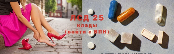 СК Аркадак