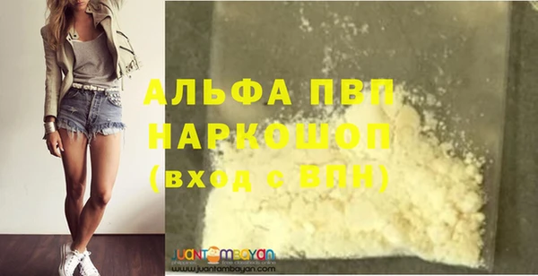 индика Армянск