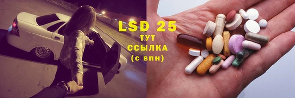 СК Аркадак