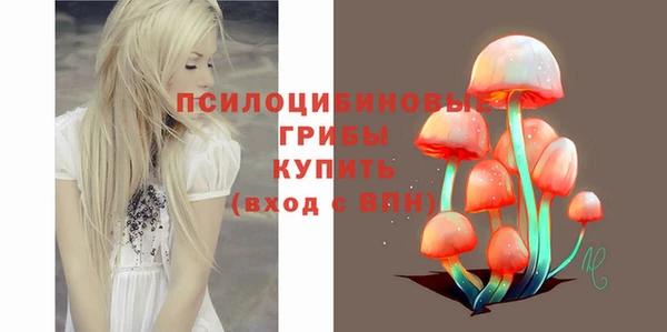 ешки Арсеньев