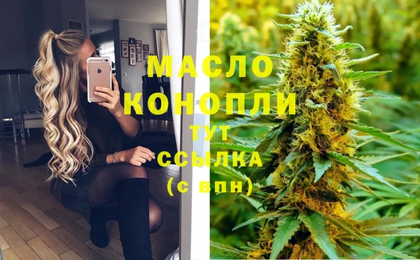 индика Армянск