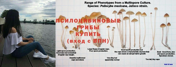 винт Балабаново