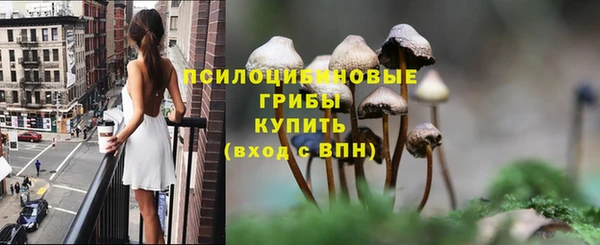 индика Армянск